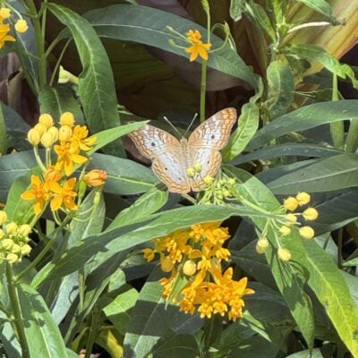 Seasonal Sentiments March 2026 Rewind