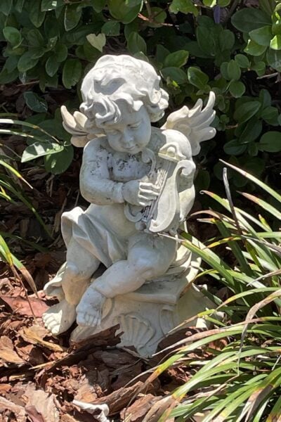 Angel statue in a landscaped bed.