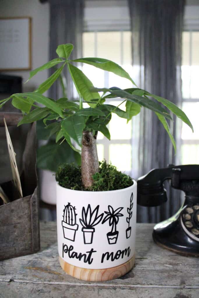 A potted plant that's in a pot decorated with plants and says "plant mom."