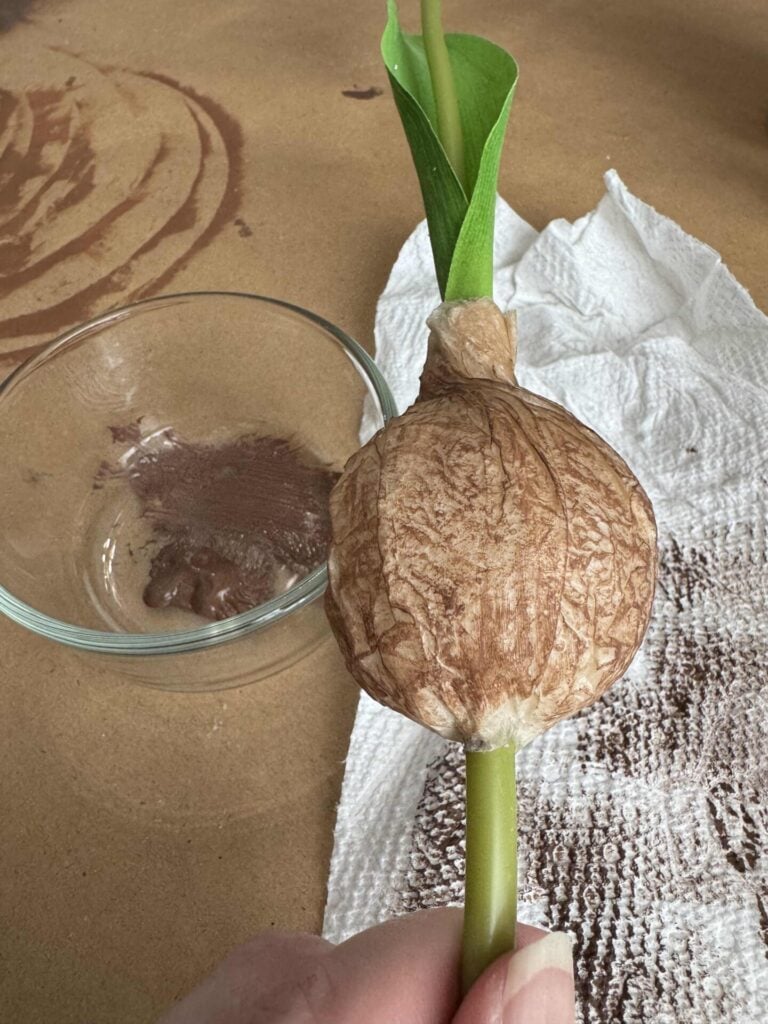 Someone painting a faux tulip bulb brown. 