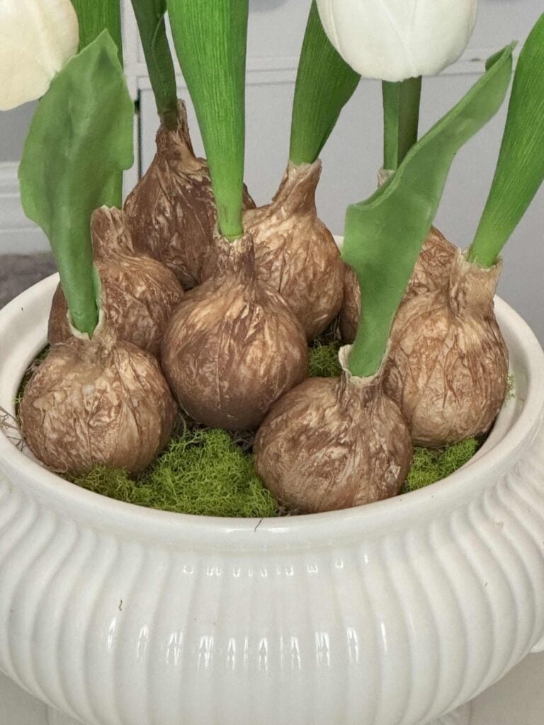 DIY tulip bulbs with reindeer moss surrounding them in a soup tureen. 