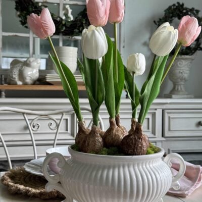 How To Make A Tulip Bulb Arrangement For Spring