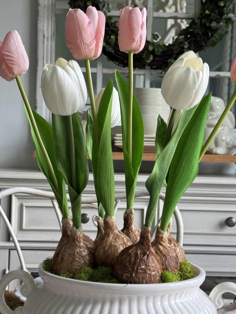 A close up of a DIY tulip bulb arrangement.