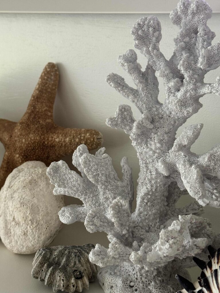 A close-up of white coral, a brown starfish, a round white stone, and a shell, all arranged on a light surface against a pale background—perfect coastal decor for serene interiors.