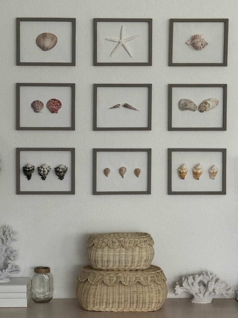 Nine framed displays of various seashells and a starfish create a stunning 3x3 grid above a table with woven baskets, a glass jar, and coral decorations—perfect for adding coastal decor charm to any space.