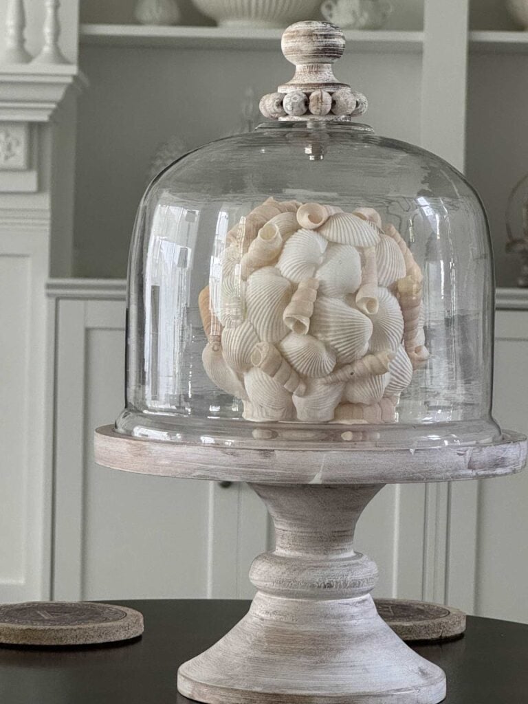 A decorative arrangement of seashells shaped into a sphere sits under a clear glass cloche on a rustic wooden pedestal stand, evoking Seasonal Sentiments May 2026 Rewind, with a white cabinet and shelves in the background.