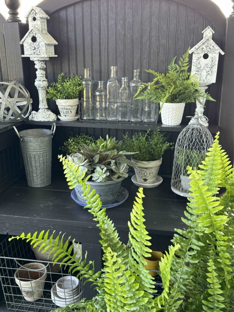 Black shelf with assorted plants, glass bottles, birdhouses, a metal bucket, wire cage, and decorative items. Ferns and succulents are prominent in the foreground and on the shelves, providing inspiration for those interested in how to hang flower pots or arrange greenery with style.