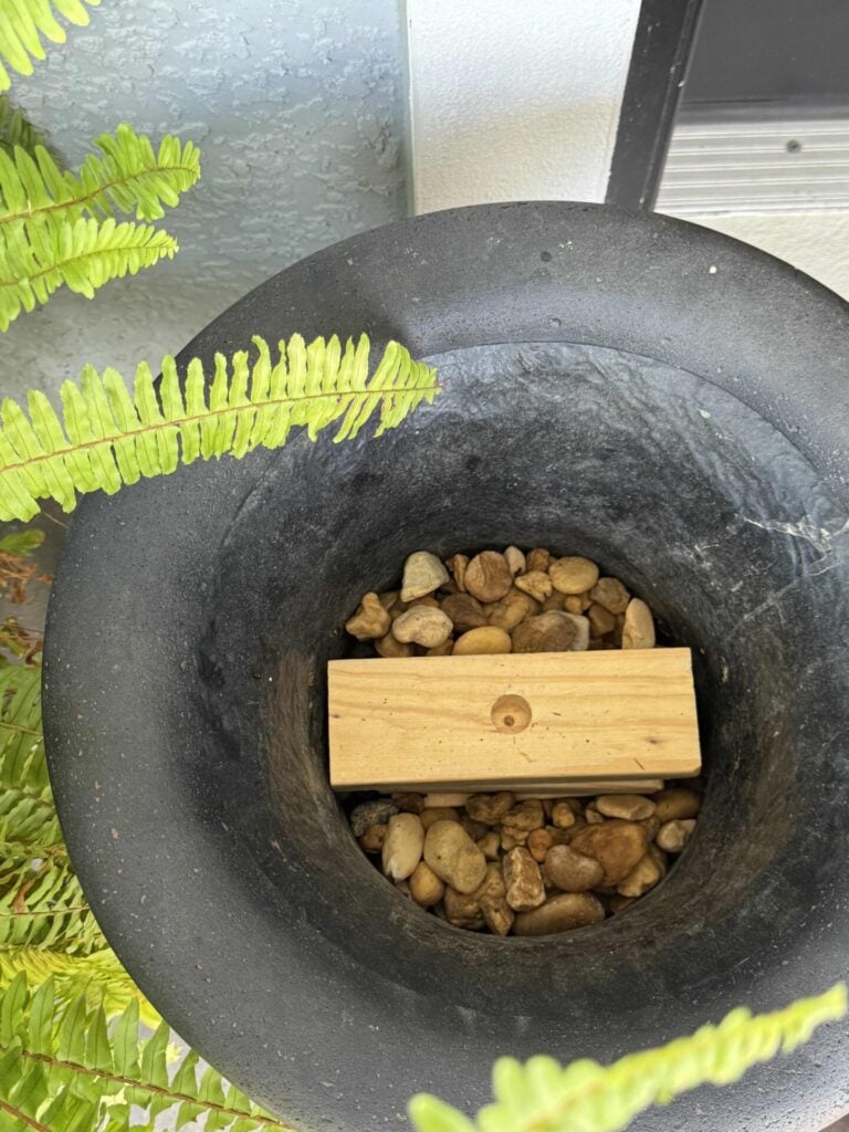 A black planter filled with small rocks and a rectangular wooden block makes the perfect base for your DIY Topiary Tree. Green fern leaves partially cover the upper left edge of the planter, adding a touch of natural elegance to your project.