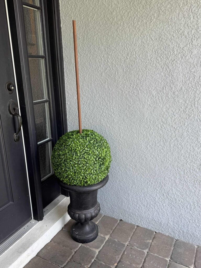 A round boxwood orb in a black planter with a tall thin stick in the center stands on a brick porch next to a black door and light gray wall.