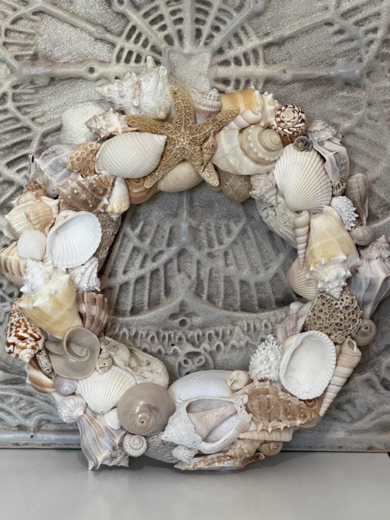 A DIY Shell Wreath made of assorted seashells and a starfish hangs against a textured, patterned gray background. The shells are arranged in various sizes and shades of white, cream, and beige.