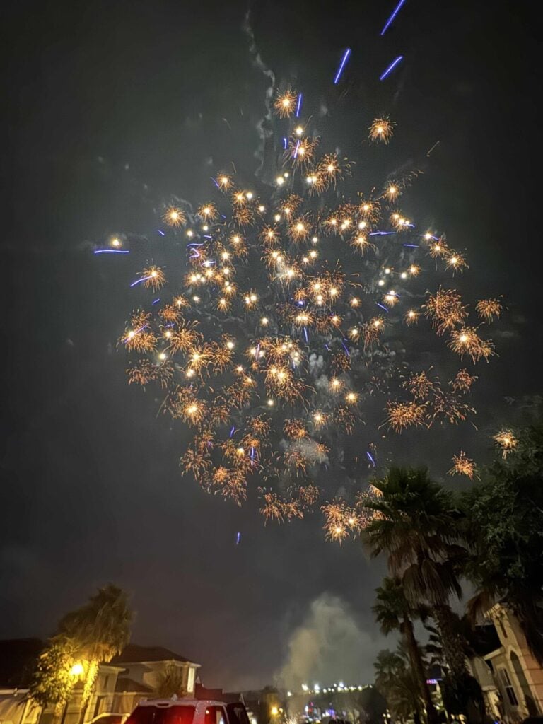 Fireworks burst in the night sky above a street lined with houses, palm trees, and parked cars, illuminating the scene with orange and blue sparks-part for our Seasonal Sentiments July Rewind.













