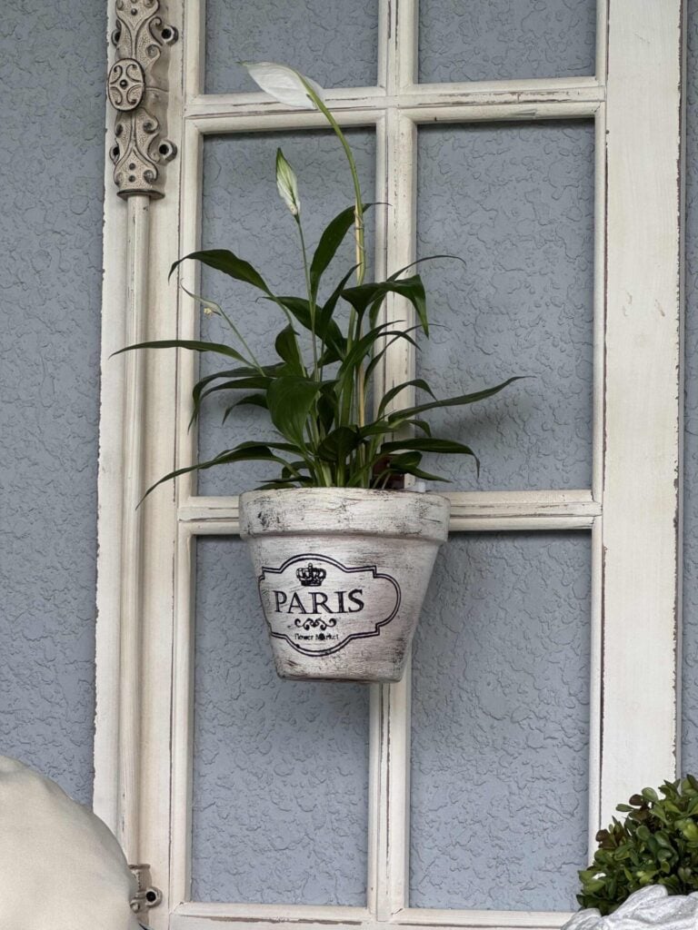A green plant in a white pot labeled Paris hangs on a vintage white window frame against a textured gray wall.