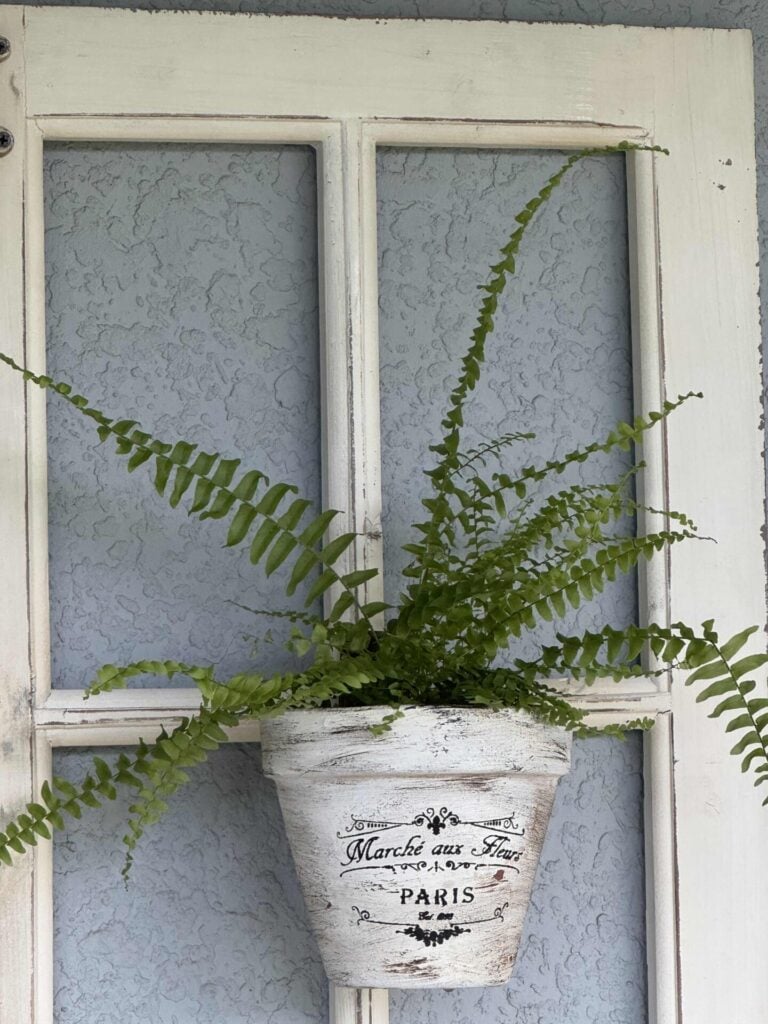 A green fern in a rustic white flowerpot labeled Marché aux Fleurs, Paris hangs on an old white-framed window with textured gray wall in the background.