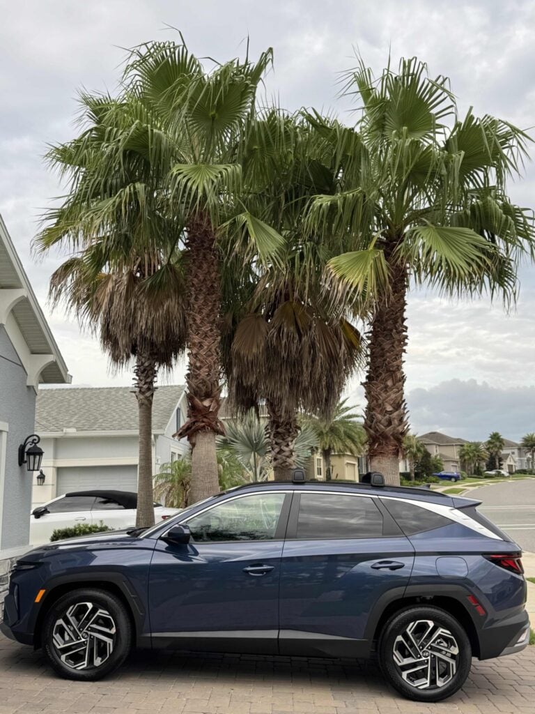 A blue SUV is parked on a driveway in front of tall palm trees, with suburban homes and a cloudy sky in the background.