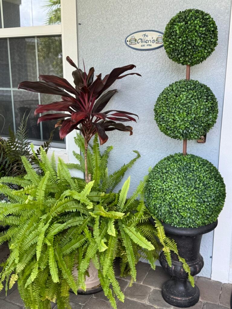 Two potted plants—a lush fern and a red-leafed plant—sit beside a tall black urn with three stacked, round green topiaries, resembling a DIY topiary tree, all arranged near a window and a sign reading “The Allen’s.”.
