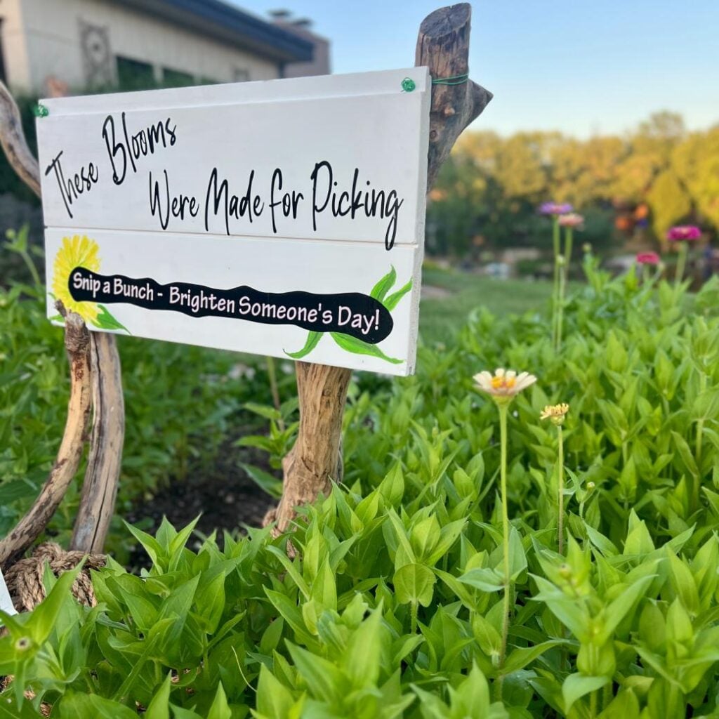 A wooden sign in a garden reads, “These Blooms Were Made for Picking. Snip a Bunch - Brighten Someone’s Day!” Green plants and a few flowers grow around the sign, creating an inviting space perfect for learning how to hang flower pots and enhance your outdoor décor.