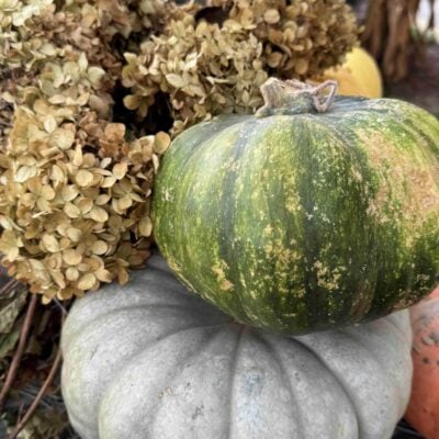Seasonal Sentiments September 2026 Rewind