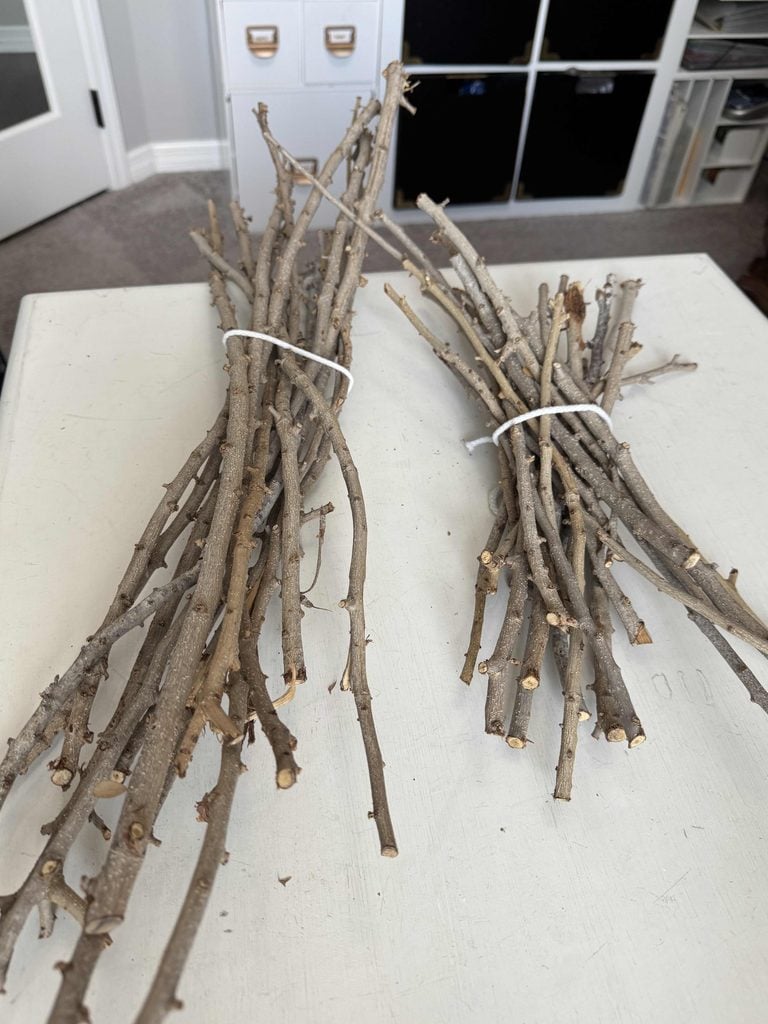 Two bundles of dry, thin sticks tied with white plastic ties rest on a white surface. In the background, office shelves and cabinets are visible.