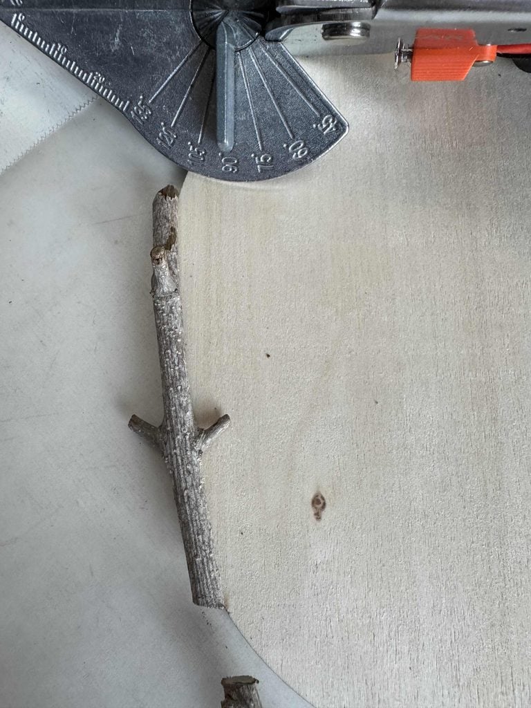 A metal protractor tool, a small saw, and a short tree twig rest on a light wooden surface. The twig is positioned near the edge, while the saw is partially visible at the top of the image.