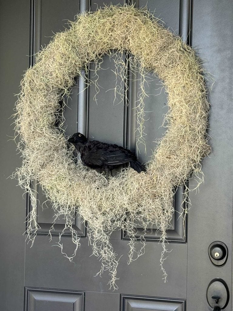 A black bird decoration sits in a large, round wreath made of light gray moss, hanging on a dark front door with a black handle—perfectly complementing your favorite DIY Twig Pumpkin displays for an inviting seasonal entryway.